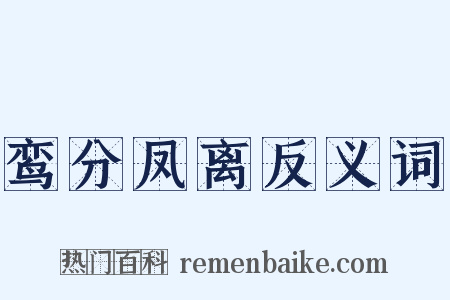 鸾分凤离反义词是什么意思的图片